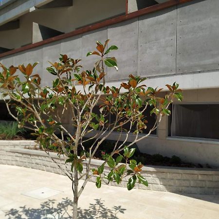 Albergaria Da Tomasia อัลเดยา ดู แมโก ภายนอก รูปภาพ