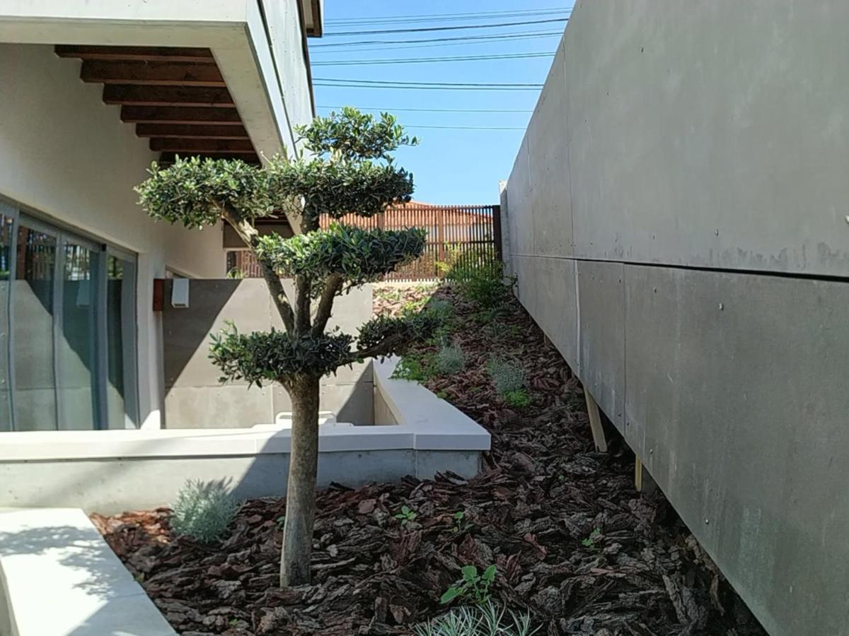 Albergaria Da Tomasia อัลเดยา ดู แมโก ภายนอก รูปภาพ